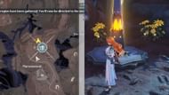 Luminous Calendula locations near the Resonance Beacon in Maroonwood (Image via Kuro Games)